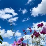 paul-engel-uF04h0G26RA-unsplash (1)